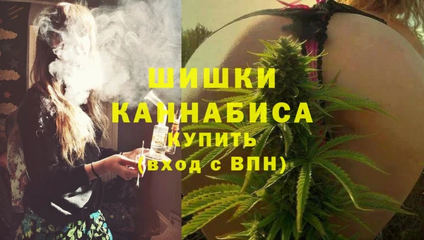 apvp Няндома