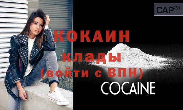 apvp Няндома