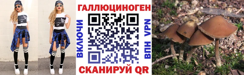 mega как войти  Алапаевск  Псилоцибиновые грибы Magic Shrooms 